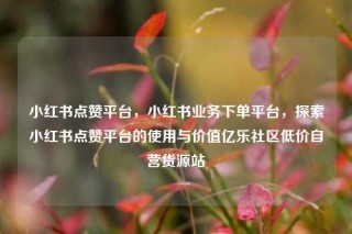 小红书点赞平台,小红书业务下单平台,探索小红书点赞平台的使用与价值亿乐社区低价自营货源站