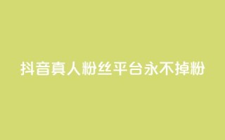 抖音真人粉丝平台 永不掉粉,抖音怎么增加浏览量和粉丝 - 全网最低价qq业务平台登录 - 快手涨1000粉丝网站是多少