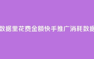 快手推广消耗数据里花费金额(快手推广消耗数据:花费金额分析)