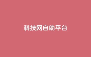 nap6科技网自助平台,抖音1元1000粉真的吗 - qq空间点赞自助 - 抖音快手业务网站