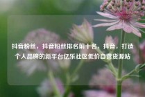 抖音粉丝,抖音粉丝排名前十名,抖音,打造个人品牌的新平台亿乐社区低价自营货源站