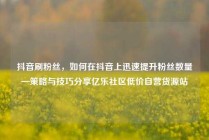 抖音刷粉丝,如何在抖音上迅速提升粉丝数量—策略与技巧分享亿乐社区低价自营货源站