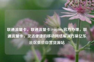 联通流量卡,联通流量卡19元200g官方办理,联通流量卡,灵活便捷的移动网络解决方案亿乐社区低价自营货源站