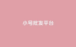 dy小号批发平台 - dy小号批发平台推荐与购买指南!