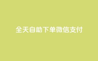 ks全天自助下单微信支付 - 不超过50字限制下,我将原标题重写为:KS微信支付自助下单全天支持!
