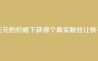 1元3000粉丝快手不掉粉 - 如何在1元的价格下获得3000个真实粉丝，让快手账号稳定不掉粉~