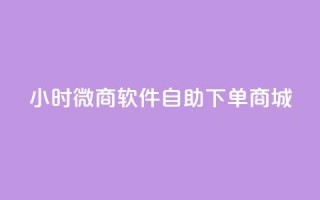 24小时微商软件自助下单商城 - 一天内轻松购物,体验自助下单的微商软件商城~