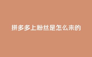 拼多多上粉丝是怎么来的 - 拼多多是如何吸引粉丝的?~