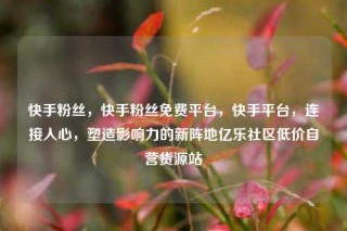 快手粉丝,快手粉丝免费平台,快手平台,连接人心,塑造影响力的新阵地亿乐社区低价自营货源站