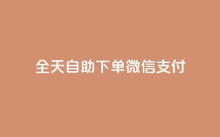 ks全天自助下单微信支付 - 不超过50字限制下,我将原标题重写为:KS微信支付自助下单全天支持!