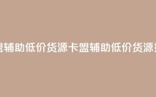 卡盟辅助低价货源(卡盟辅助低价货源推荐)