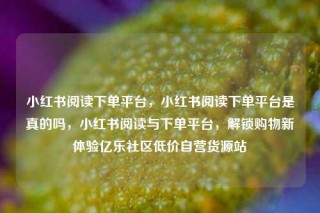 小红书阅读下单平台,小红书阅读下单平台是真的吗,小红书阅读与下单平台,解锁购物新体验亿乐社区低价自营货源站