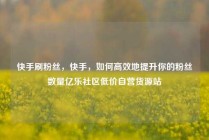 快手刷粉丝,快手,如何高效地提升你的粉丝数量亿乐社区低价自营货源站