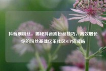 抖音刷粉丝,揭秘抖音刷粉丝技巧,高效增长你的粉丝基础亿乐社区SUP货源站