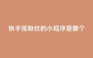 快手涨粉丝的小程序是哪个,全网辅助最低货源网 - 拼多多自助下单24小时平台 - 9个元宝还需要多少人助力