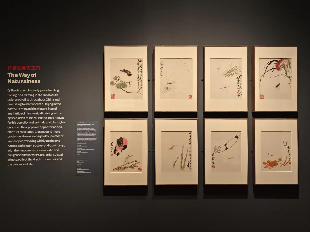 齐白石精品在波士顿展出	，“白石画屋	”呈现水墨挥洒  第9张