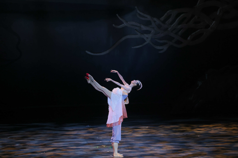 梅花奖在上海｜舞剧《朱鹮》	，剧里剧外都是生命的赞歌  第1张