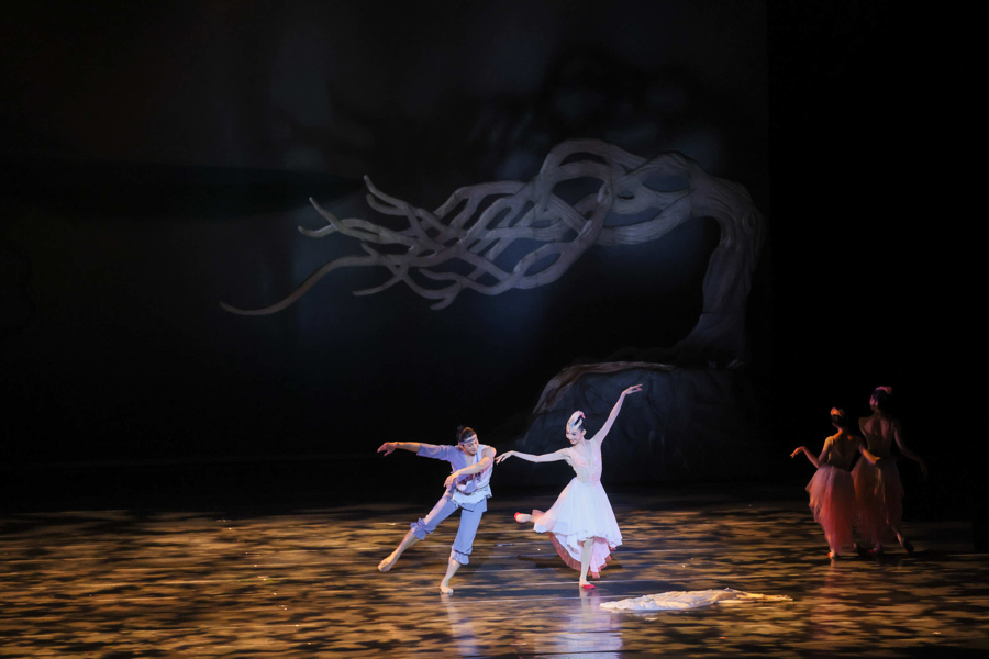 梅花奖在上海｜舞剧《朱鹮》，剧里剧外都是生命的赞歌  第2张