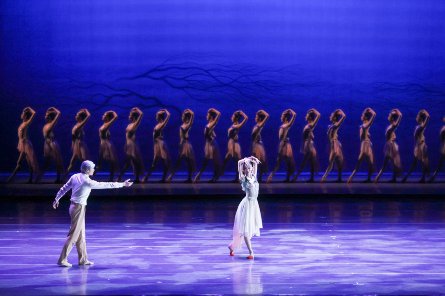 梅花奖在上海｜舞剧《朱鹮》，剧里剧外都是生命的赞歌  第6张