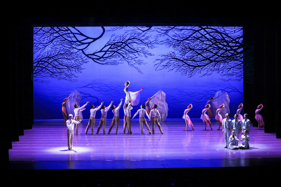 梅花奖在上海｜舞剧《朱鹮》，剧里剧外都是生命的赞歌  第7张