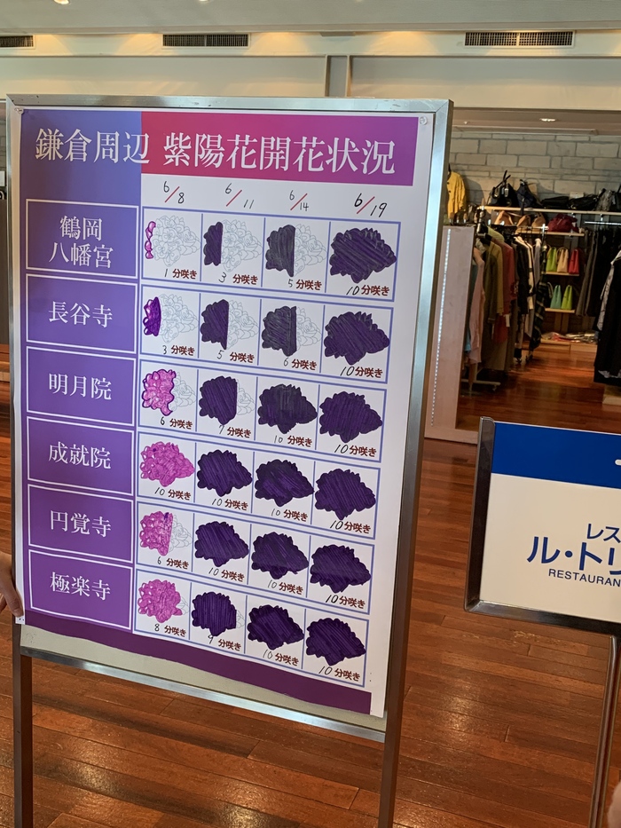 花开之处，便是故地  第31张