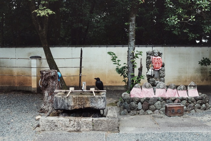 首席体验官｜京都清水青龙酒店，在清水寺下	，改造一间旧校舍  第4张