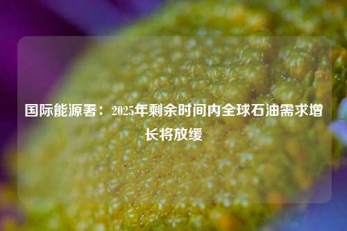 国际能源署:2025年剩余时间内全球石油需求增长将放缓  第1张 国际能源署:2025年剩余时间内全球石油需求增长将放缓  第1张