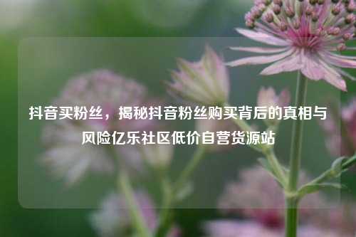 抖音买粉丝	，揭秘抖音粉丝购买背后的真相与风险亿乐社区低价自营货源站  第1张