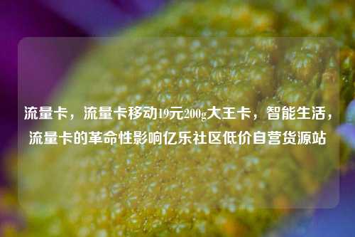 流量卡	，流量卡移动19元200g大王卡，智能生活，流量卡的革命性影响亿乐社区低价自营货源站  第1张