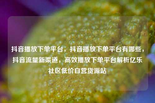 抖音播放下单平台，抖音播放下单平台有哪些，抖音流量新渠道	，高效播放下单平台解析亿乐社区低价自营货源站  第1张