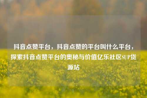 抖音点赞平台	，抖音点赞的平台叫什么平台，探索抖音点赞平台的奥秘与价值亿乐社区SUP货源站  第1张
