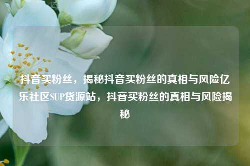 抖音买粉丝	，揭秘抖音买粉丝的真相与风险亿乐社区SUP货源站，抖音买粉丝的真相与风险揭秘  第1张