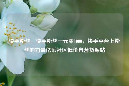 快手粉丝	，快手粉丝一元涨1000，快手平台上粉丝的力量亿乐社区低价自营货源站  第1张