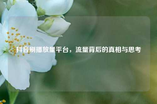 抖音刷播放量平台，流量背后的真相与思考  第1张