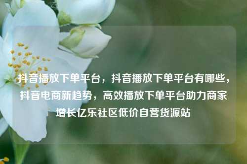 抖音播放下单平台，抖音播放下单平台有哪些，抖音电商新趋势	，高效播放下单平台助力商家增长亿乐社区低价自营货源站  第1张