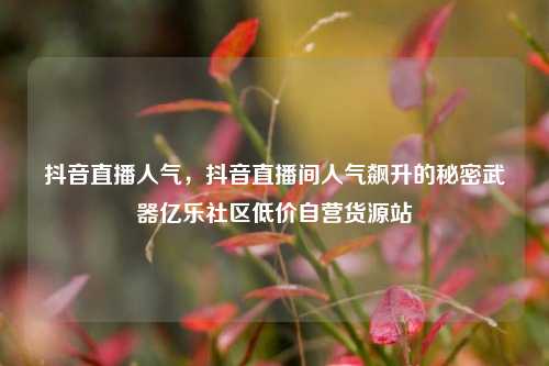 抖音直播人气，抖音直播间人气飙升的秘密武器亿乐社区低价自营货源站  第1张