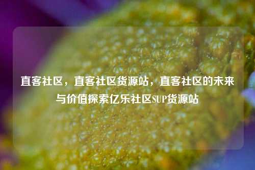 直客社区	，直客社区货源站，直客社区的未来与价值探索亿乐社区SUP货源站  第1张