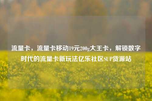 流量卡，流量卡移动19元200g大王卡，解锁数字时代的流量卡新玩法亿乐社区SUP货源站  第1张