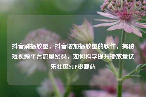 抖音刷播放量	，抖音增加播放量的软件，揭秘短视频平台流量密码，如何科学提升播放量亿乐社区SUP货源站  第1张