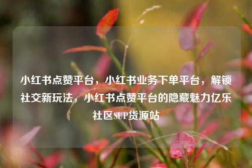 小红书点赞平台，小红书业务下单平台，解锁社交新玩法	，小红书点赞平台的隐藏魅力亿乐社区SUP货源站  第1张