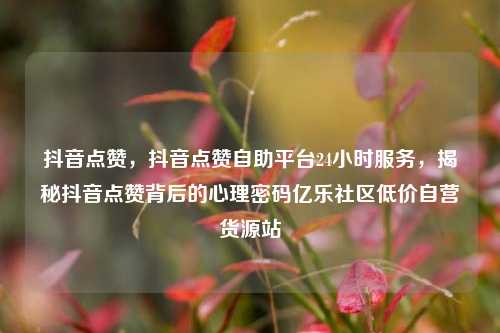 抖音点赞	，抖音点赞自助平台24小时服务，揭秘抖音点赞背后的心理密码亿乐社区低价自营货源站  第1张