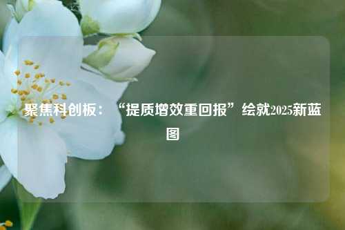 聚焦科创板：“提质增效重回报”绘就2025新蓝图  第1张