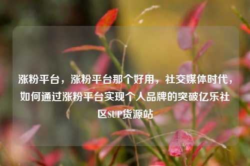 涨粉平台，涨粉平台那个好用，社交媒体时代	，如何通过涨粉平台实现个人品牌的突破亿乐社区SUP货源站  第1张