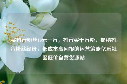 买抖音粉丝10元一万	，抖音买十万粉，揭秘抖音粉丝经济，低成本高回报的运营策略亿乐社区低价自营货源站  第1张