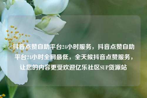 抖音点赞自助平台24小时服务，抖音点赞自助平台24小时全网最低，全天候抖音点赞服务	，让您的内容更受欢迎亿乐社区SUP货源站  第1张
