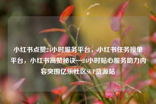 小红书点赞24小时服务平台	，小红书任务接单平台，小红书高赞秘诀—24小时贴心服务助力内容突围亿乐社区SUP货源站  第1张