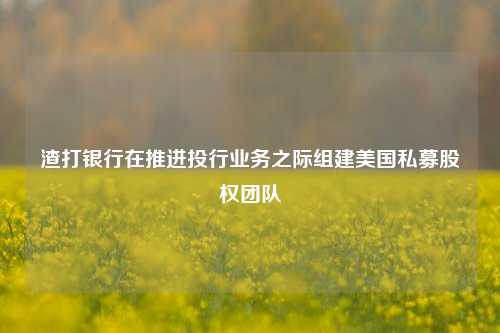 渣打银行在推进投行业务之际组建美国私募股权团队  第1张 渣打银行在推进投行业务之际组建美国私募股权团队  第1张