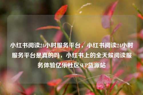 小红书阅读24小时服务平台，小红书阅读24小时服务平台是真的吗，小红书上的全天候阅读服务体验亿乐社区SUP货源站  第1张