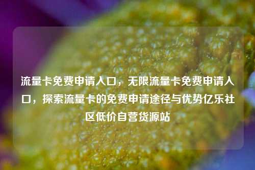 流量卡免费申请入口，无限流量卡免费申请入口	，探索流量卡的免费申请途径与优势亿乐社区低价自营货源站  第1张