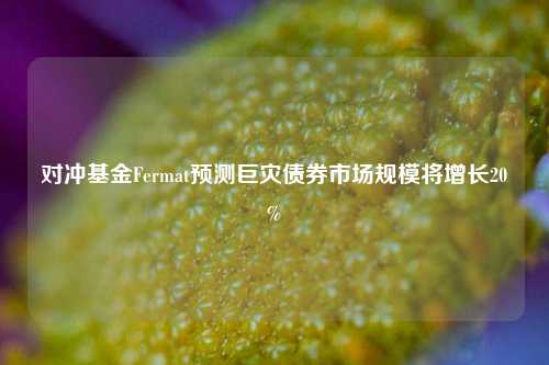 对冲基金Fermat预测巨灾债券市场规模将增长20%  第1张 对冲基金Fermat预测巨灾债券市场规模将增长20%  第1张